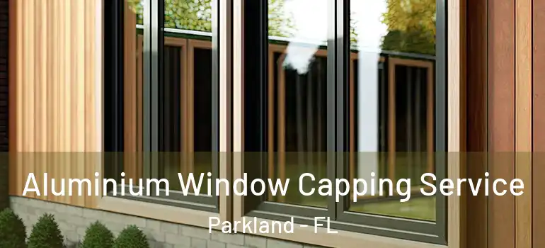  Aluminium Window Capping Service Parkland - FL