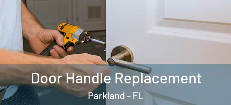  Door Handle Replacement Parkland - FL