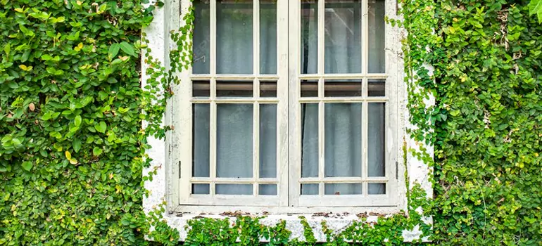 Garden Window Repair Near Me in Parkland, FL