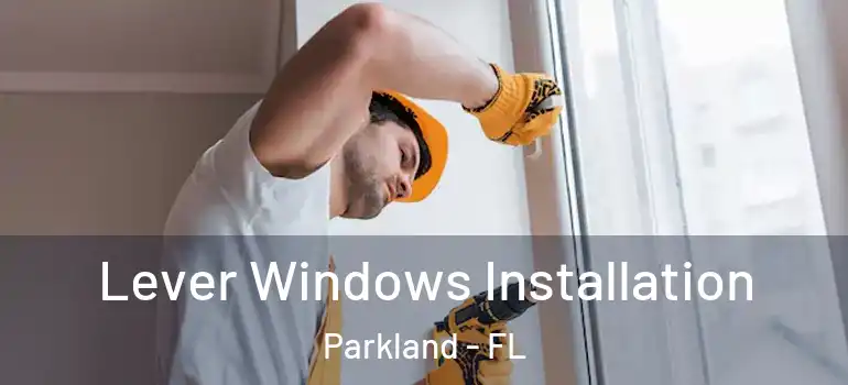  Lever Windows Installation Parkland - FL