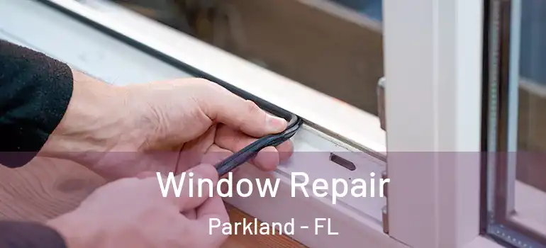  Window Repair Parkland - FL